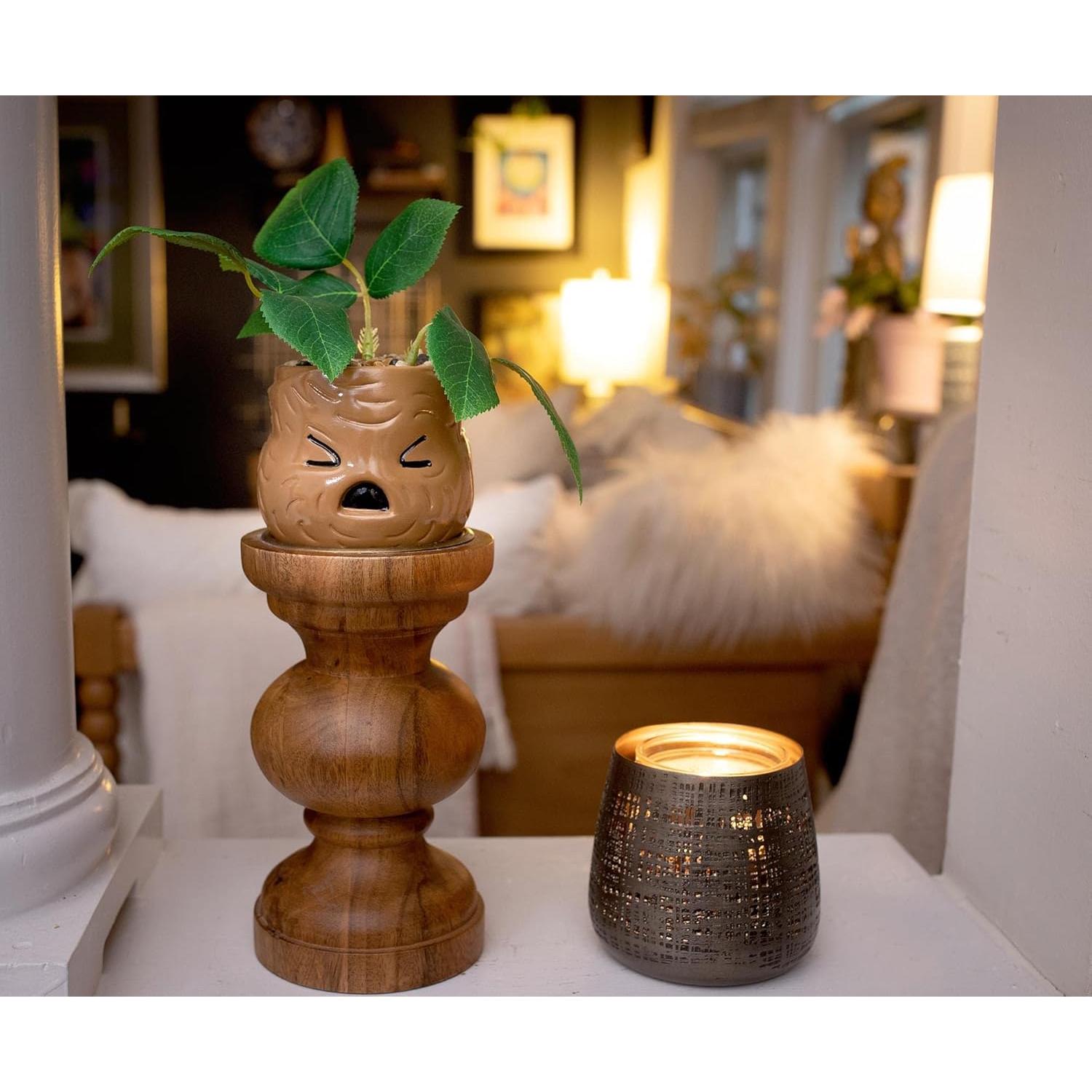 Macetero Cara de Mandrágora Silver Buffalo con Planta Artificial