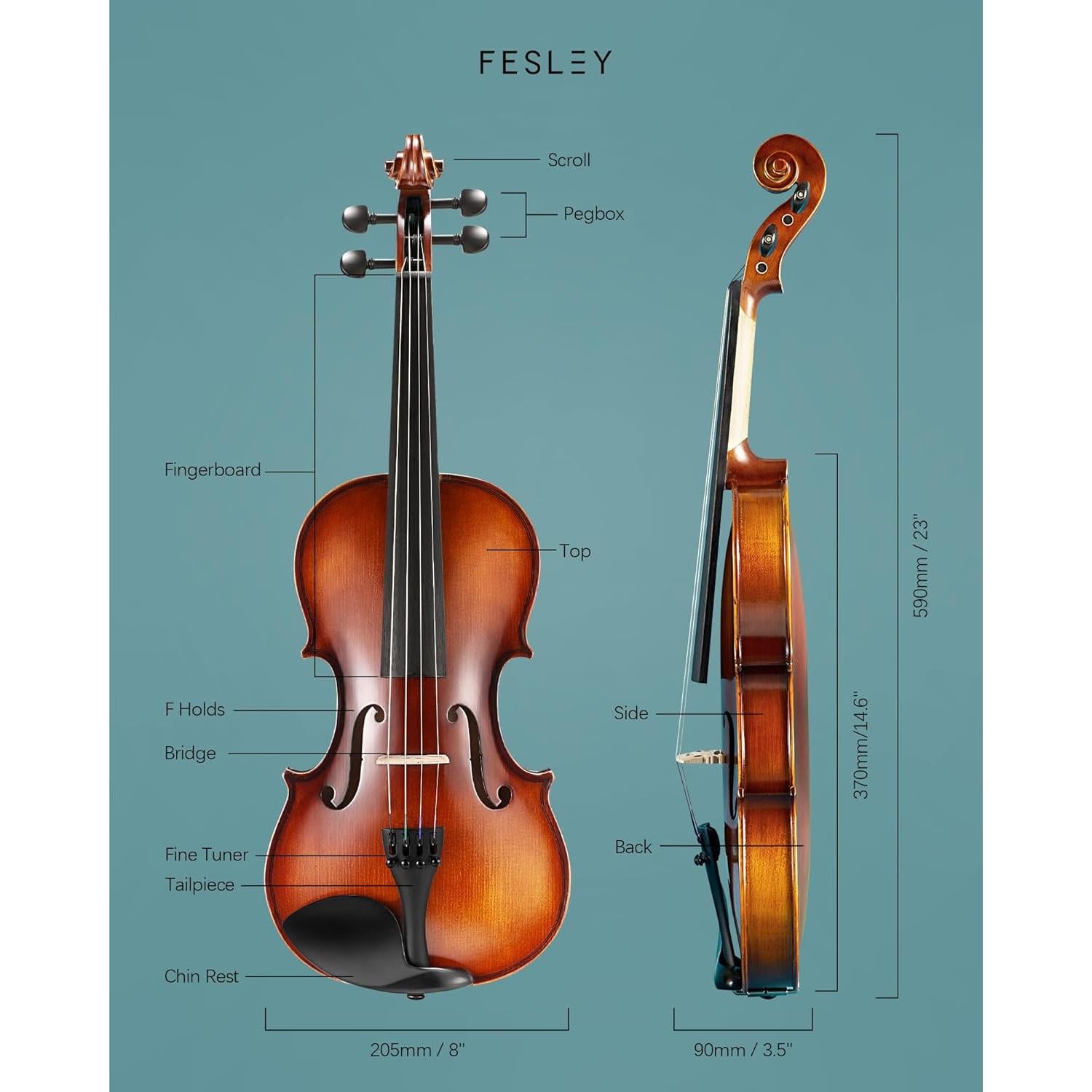 Fesley Violín 4/4 Mate Completo para Principiantes