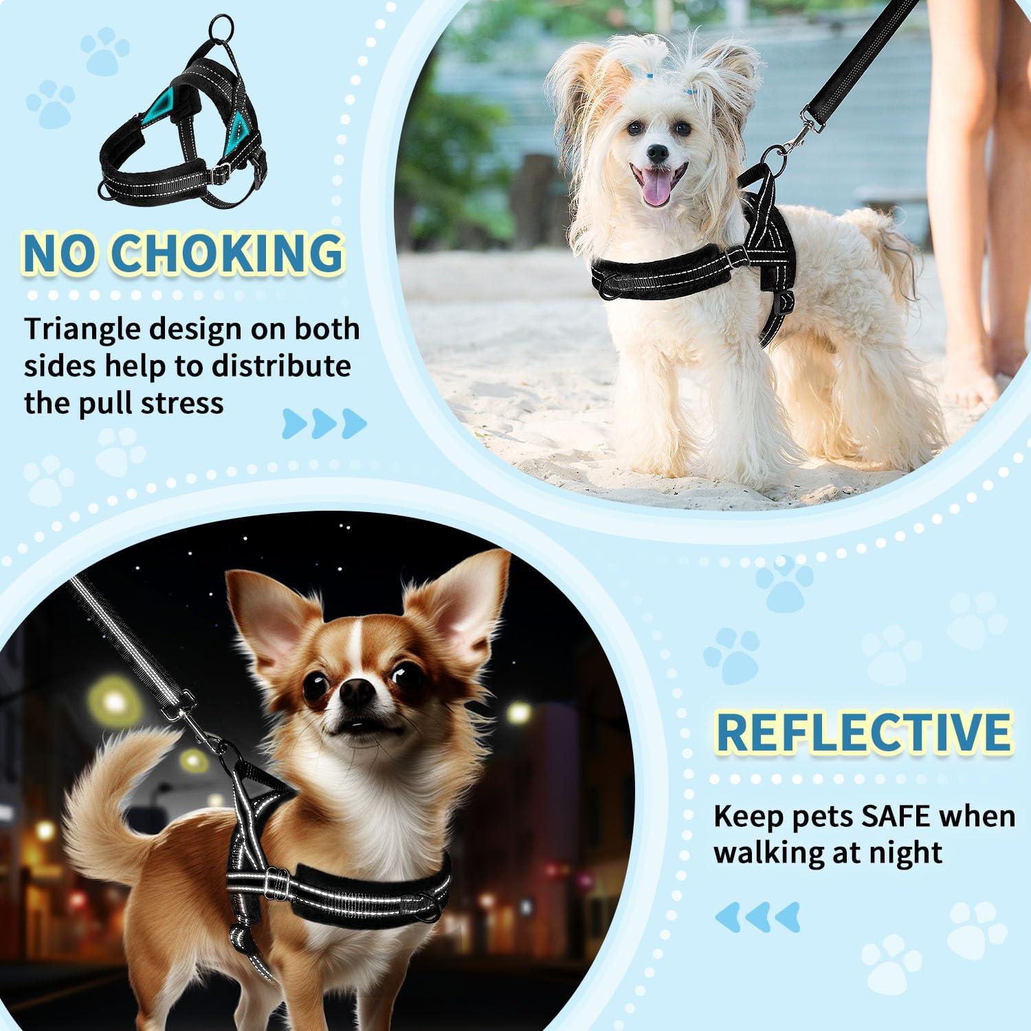 Conjunto Arnés y Correa para Perros Pequeños SlowTon XXS Negro