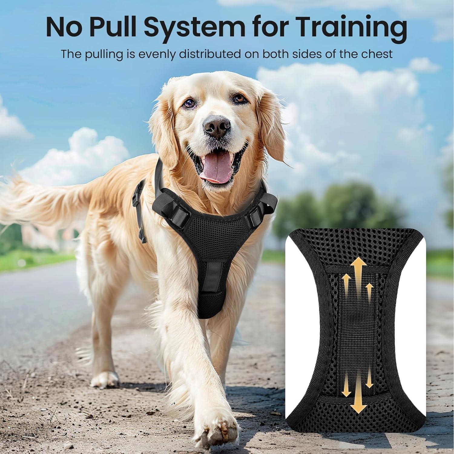 Arnés Iluminado para Perros Feycig XS Negro Ajustable LED