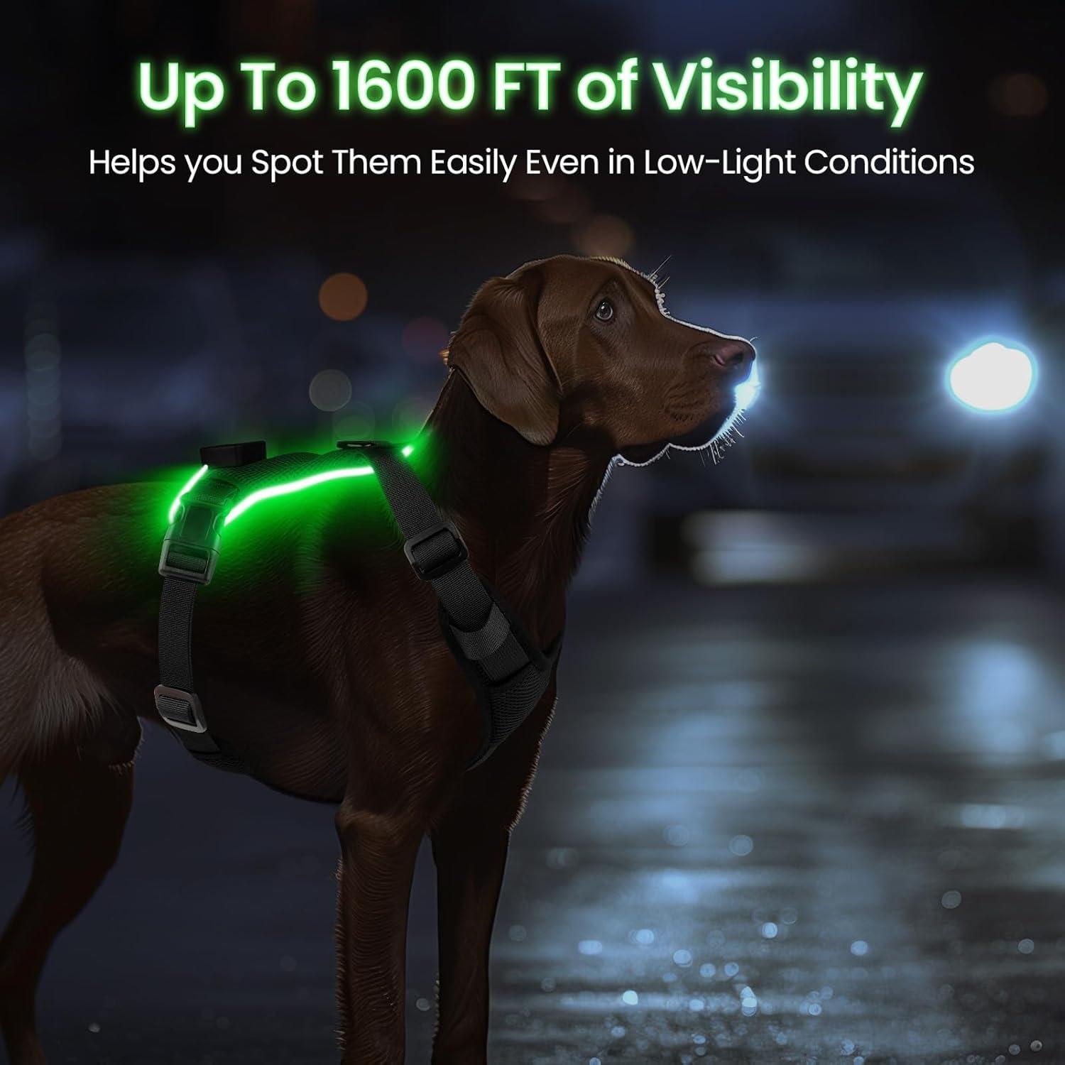 Arnés Iluminado para Perros Feycig XS Negro Ajustable LED