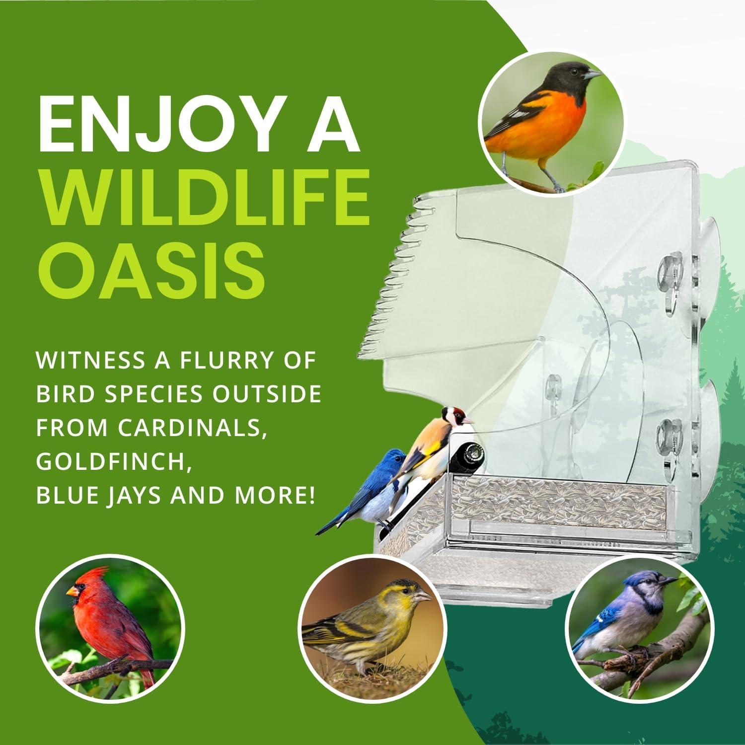 Comedero de Aves Acrílico Nature Gear para Ventana Extendida