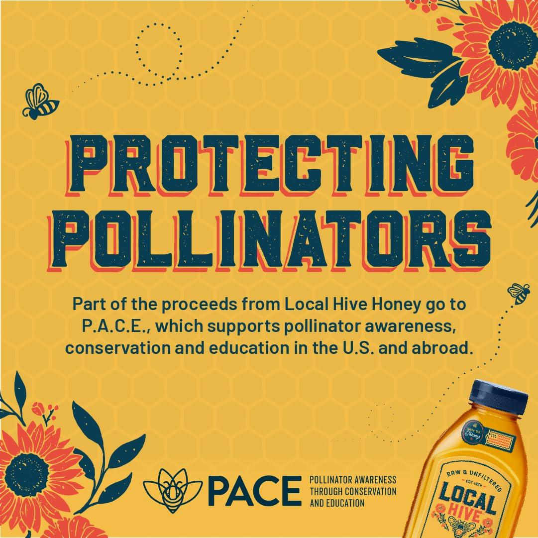 Miel Cruda Sin Filtrar Local Hive Trébol 453.6 g 100% Pura