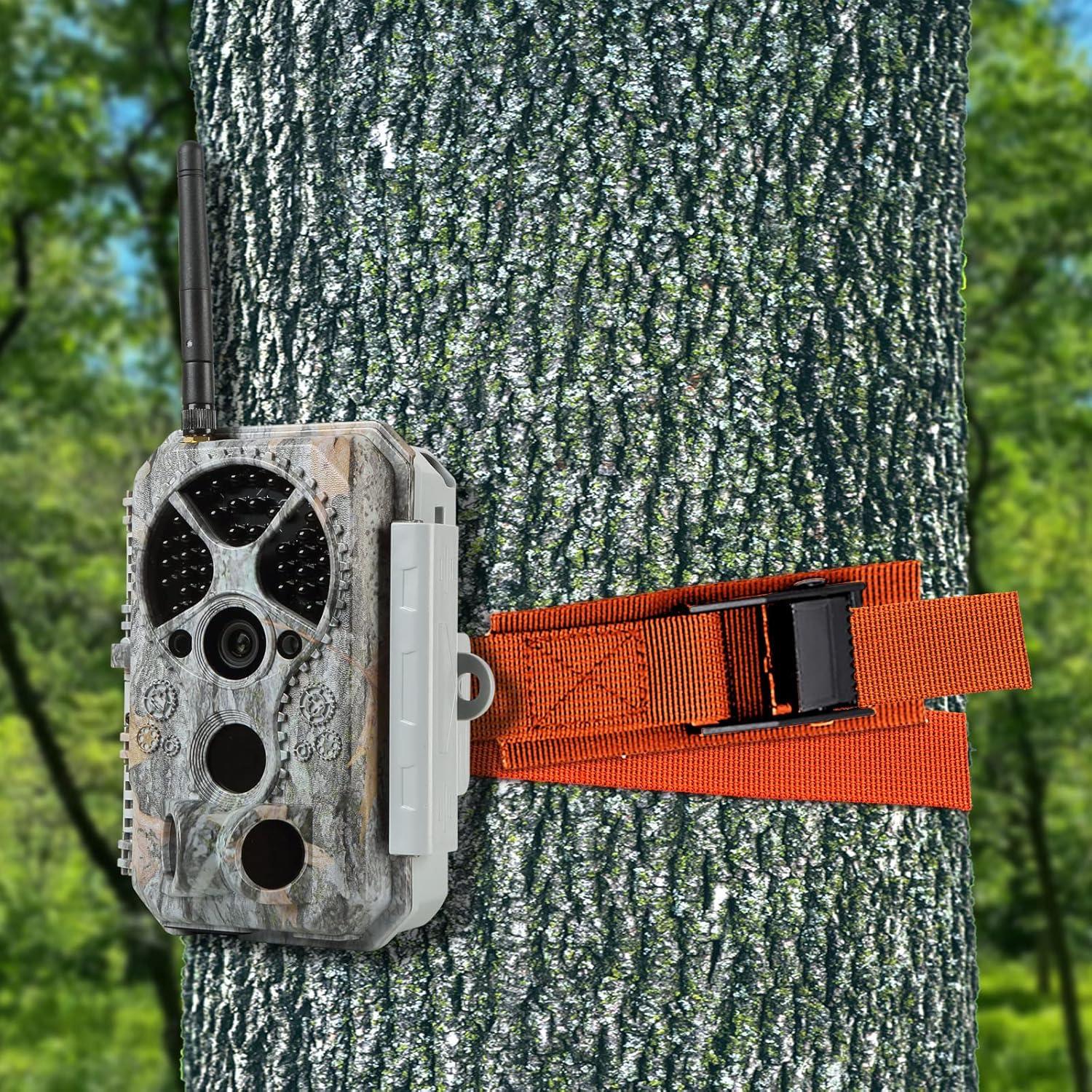 Correas de Amarre Ayifan 2m Naranja 6 Piezas 250kg Ajustables