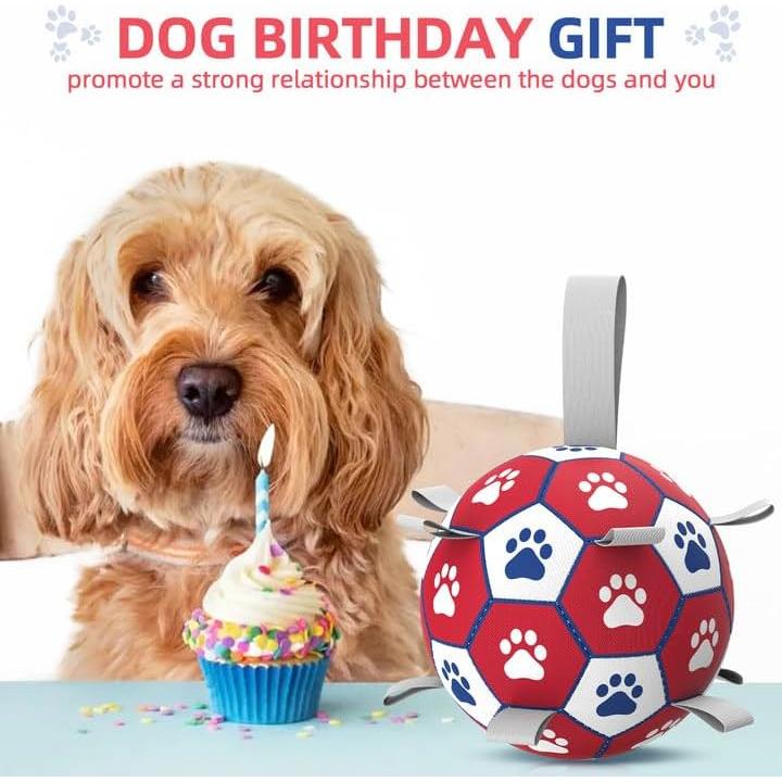 Pelota de Fútbol para Perros DIMAN Mediana con Correas