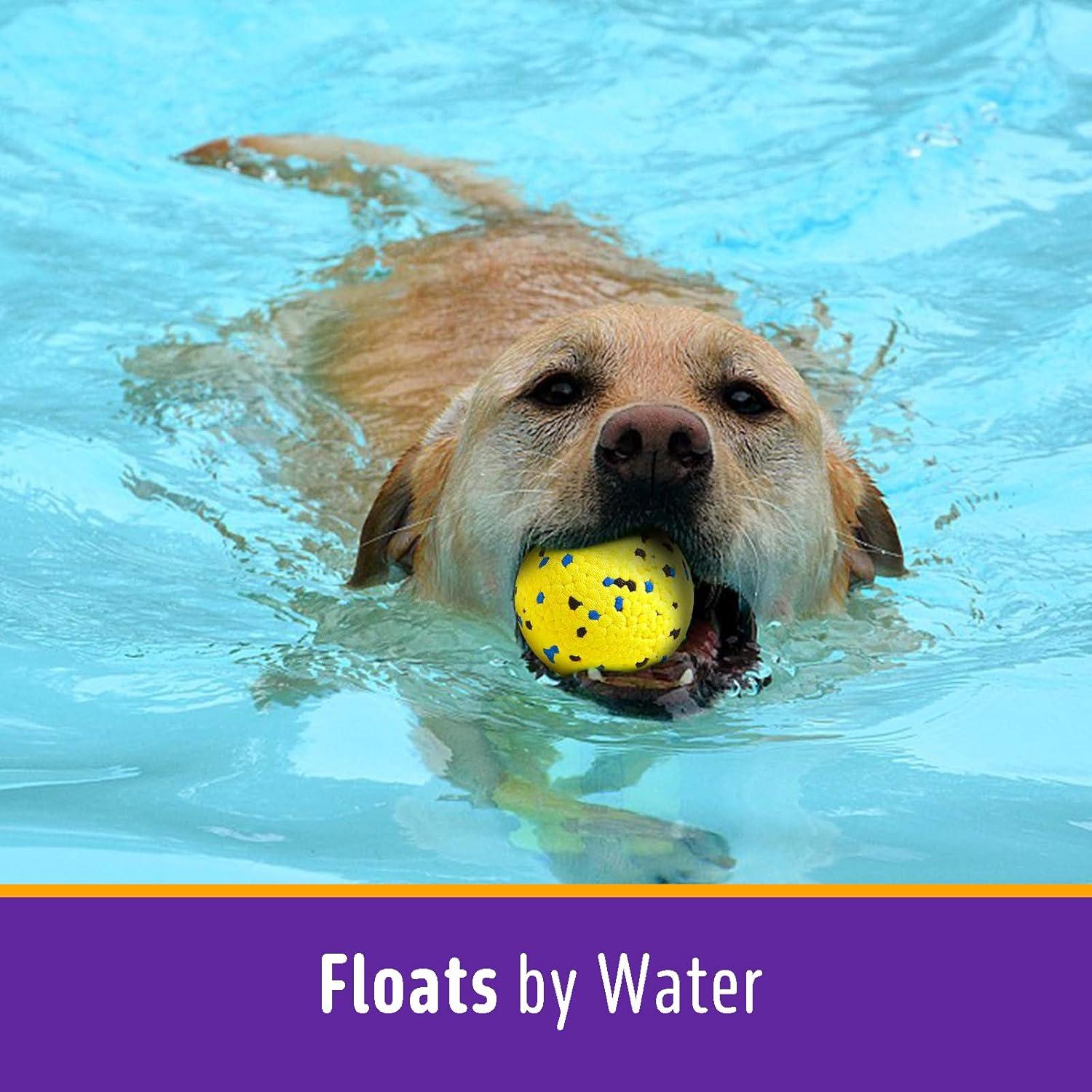 Pelotas de Perro SHANGHAI DECENT 4 Unidades Duraderas