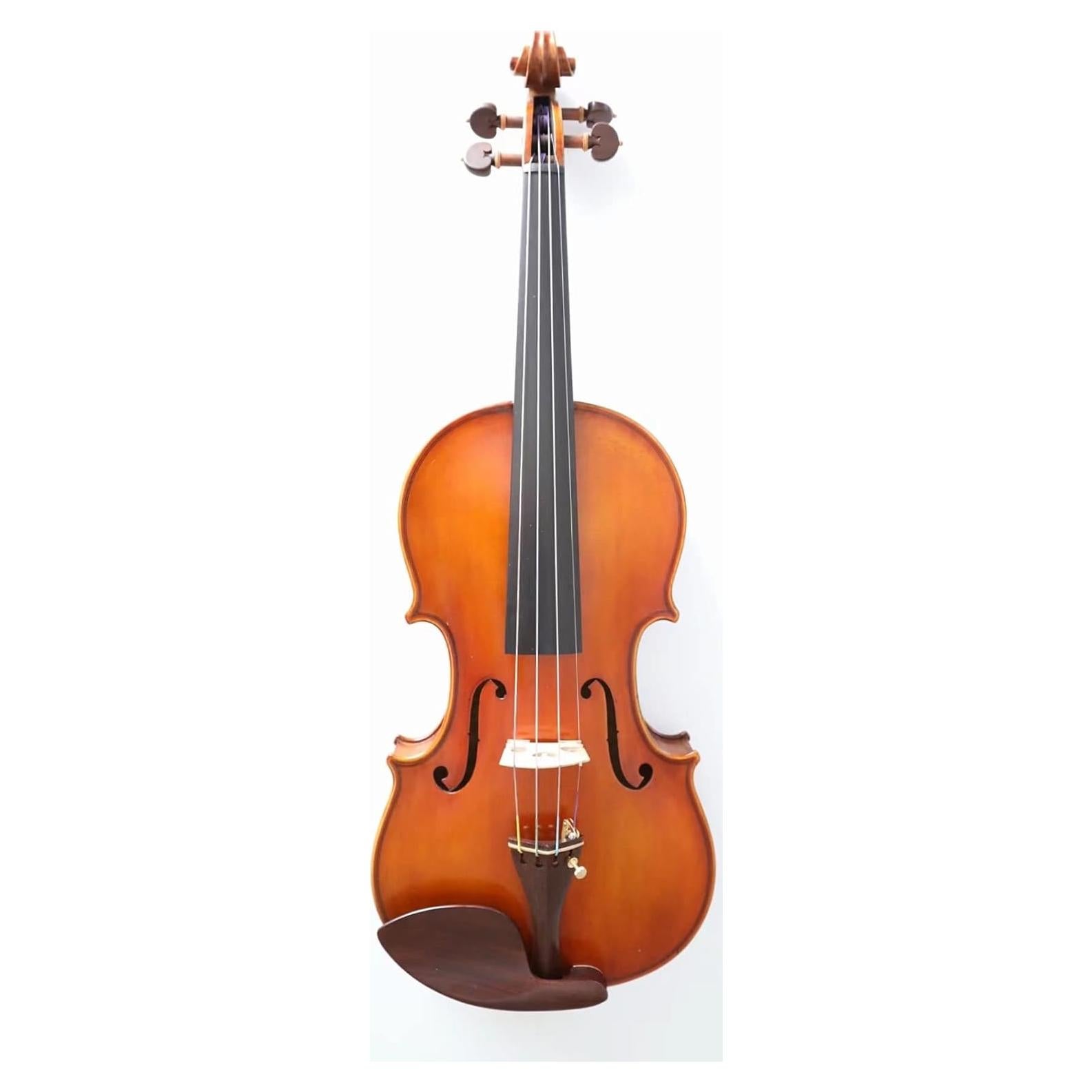 Violín Cannone Guarneri 1743 4/4 con accesorios incluidos