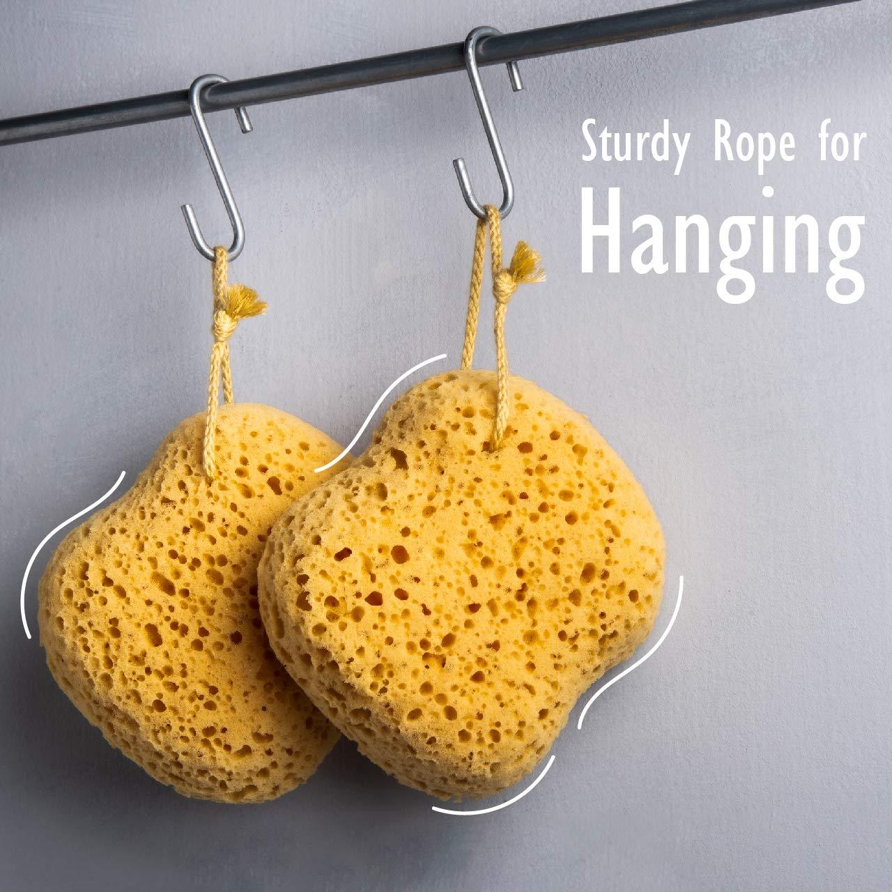 Esponja de Baño Exfoliante MyHomeBody Curvada - 2 Piezas