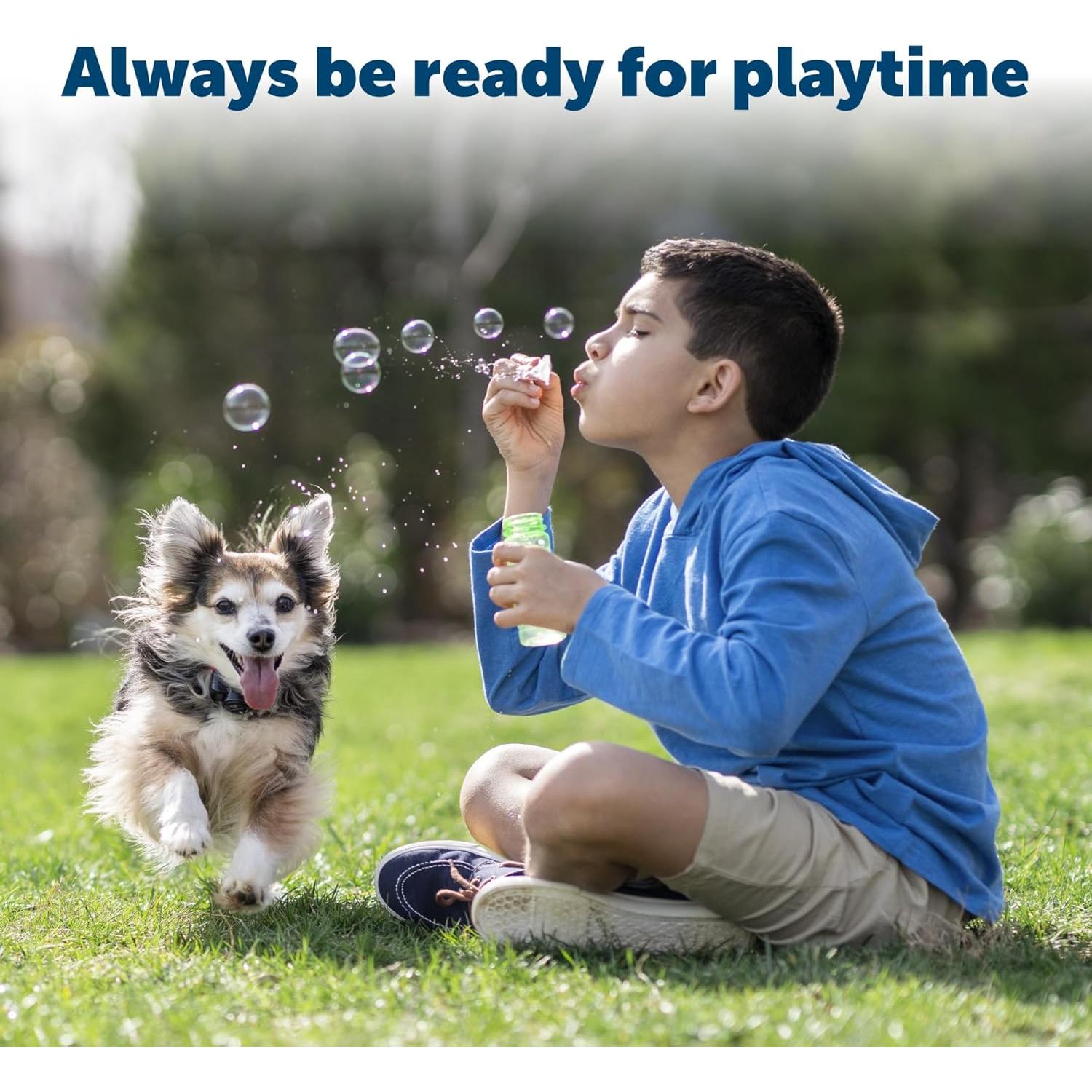 Baterías PetSafe RFA-67 6V para Collar de Perro (2 Pzas)