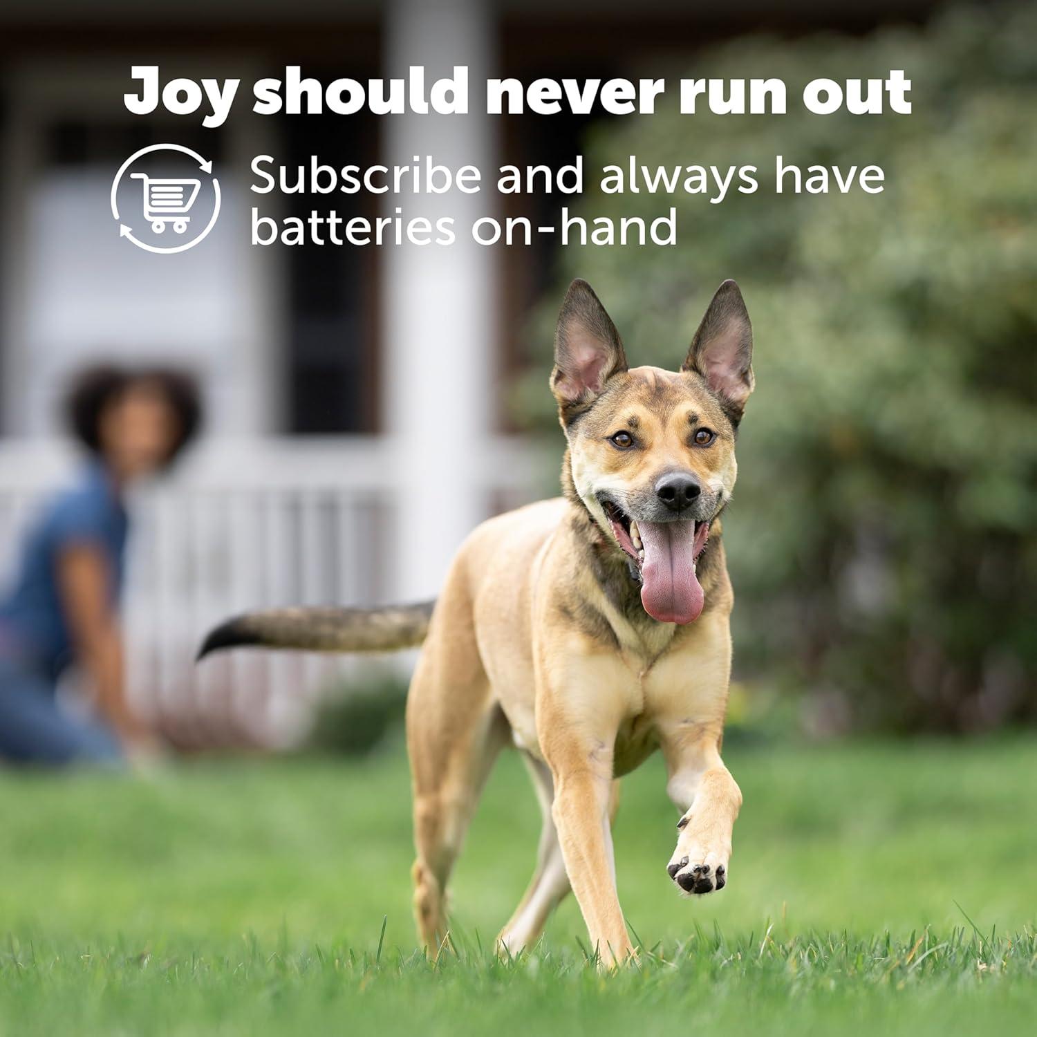 Baterías PetSafe RFA-67 6V para Collar de Perro (2 Pzas)