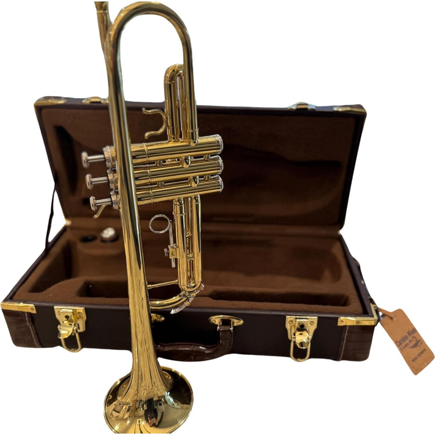 Trompeta Bb Premier Carolina Winds CW201TPT Mejorada