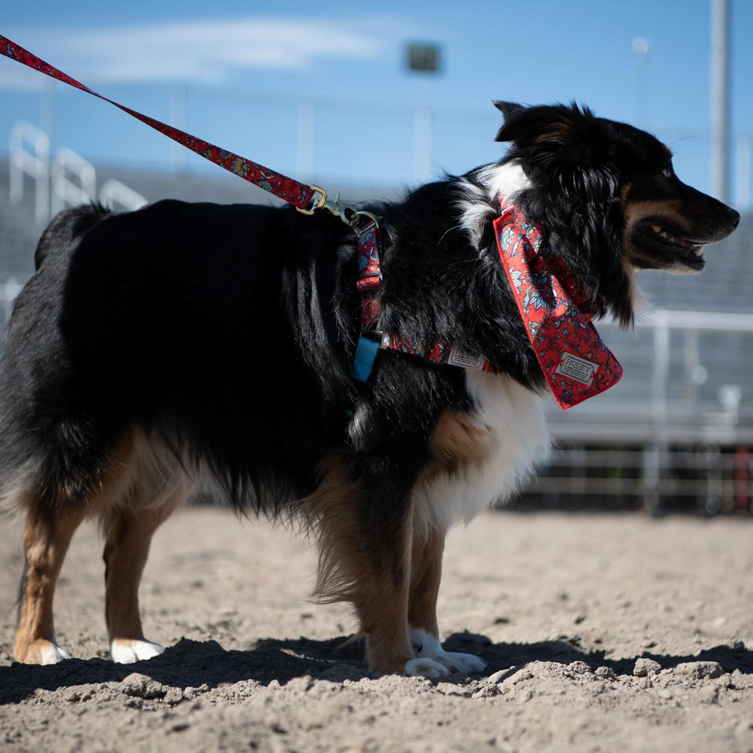 Arnés para Perros Hooey Nomad Walking Ajustable Sin Tirones Pequeño