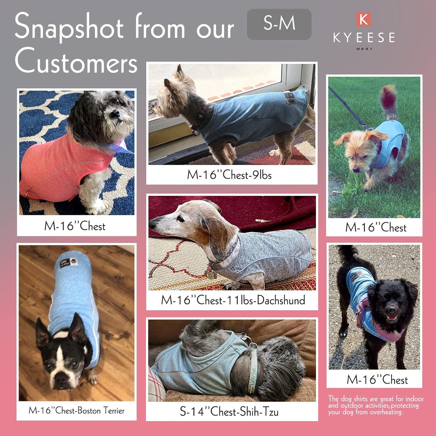 Camisa para Perro KYEESE Deportiva Transpirable Azul Pequeño