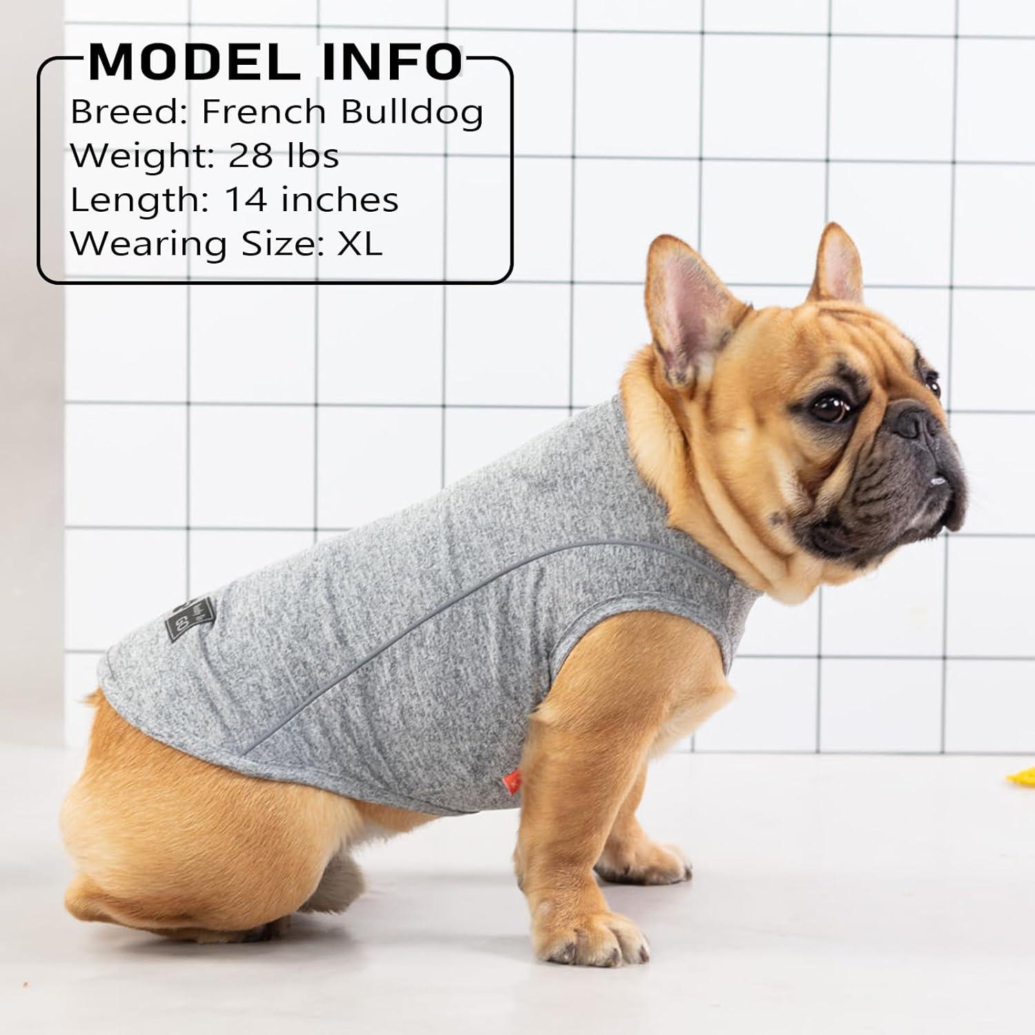 Camisa para Perro KYEESE Deportiva Transpirable Azul Pequeño