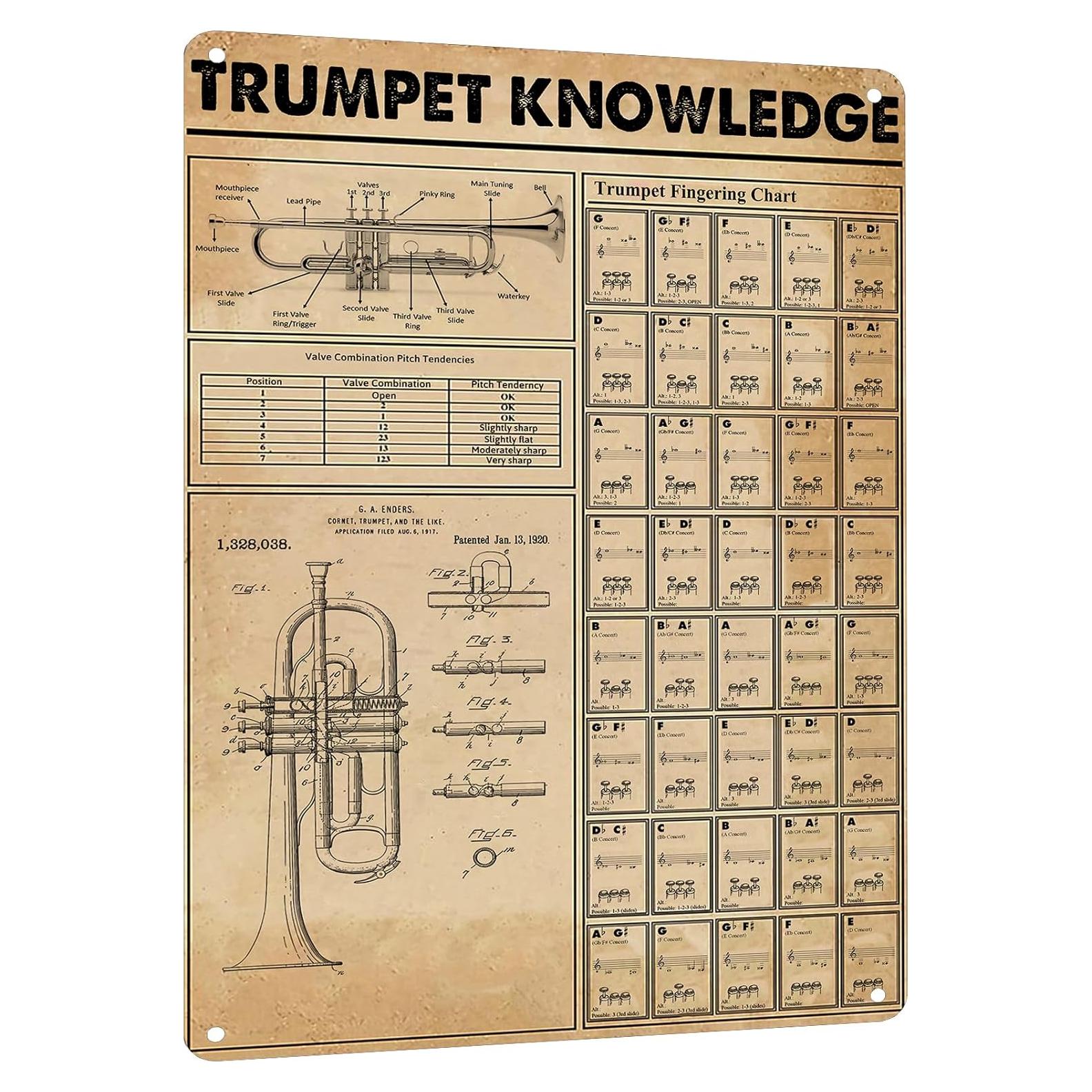 Cartel de Digitación de Trompeta HYBLOM 30x40 cm Vintage