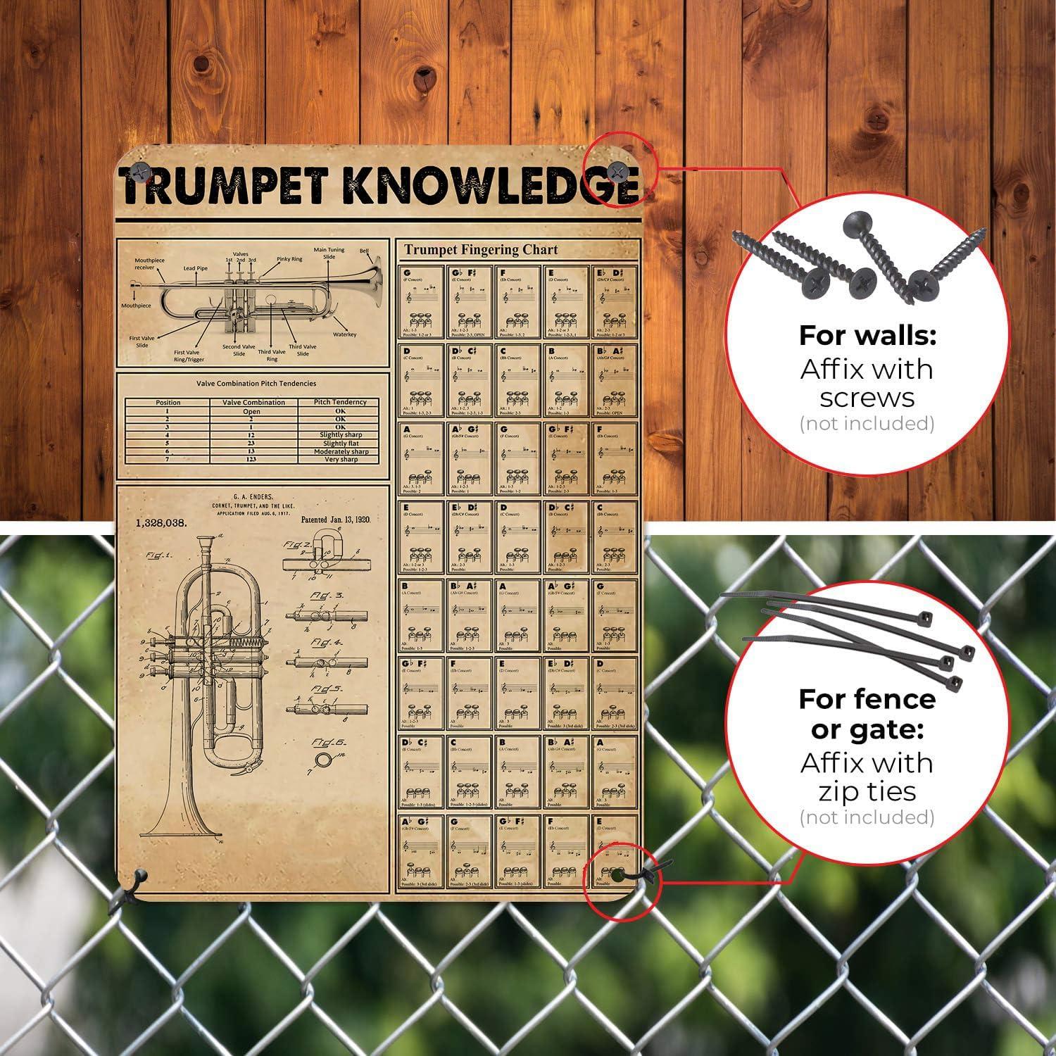 Cartel de Digitación de Trompeta HYBLOM 30x40 cm Vintage