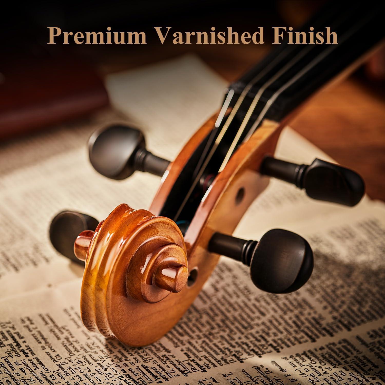 Violín Eastar 4/4 EVA-330 Madera Sólida con Accesorios