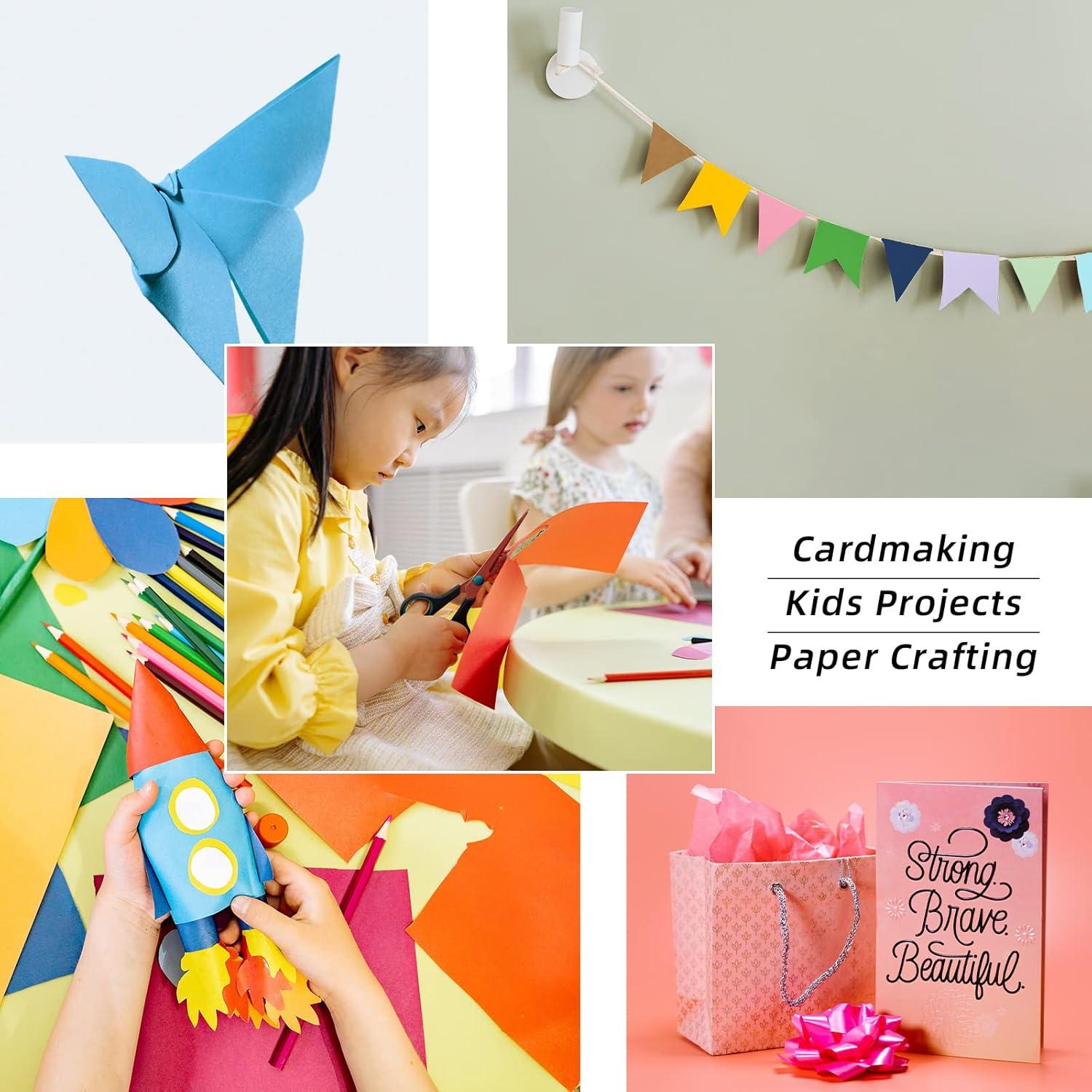 60 Hojas de Cartulina Multicolor LIVHOLIC 250 gsm 30.48x30.48 cm