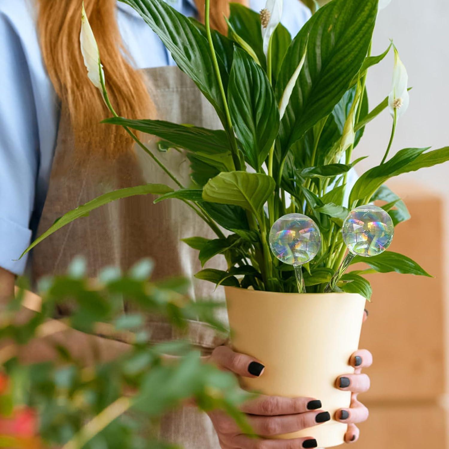 4 Esferas de Riego Pynqdfu de Vidrio 22 cm Arcoíris