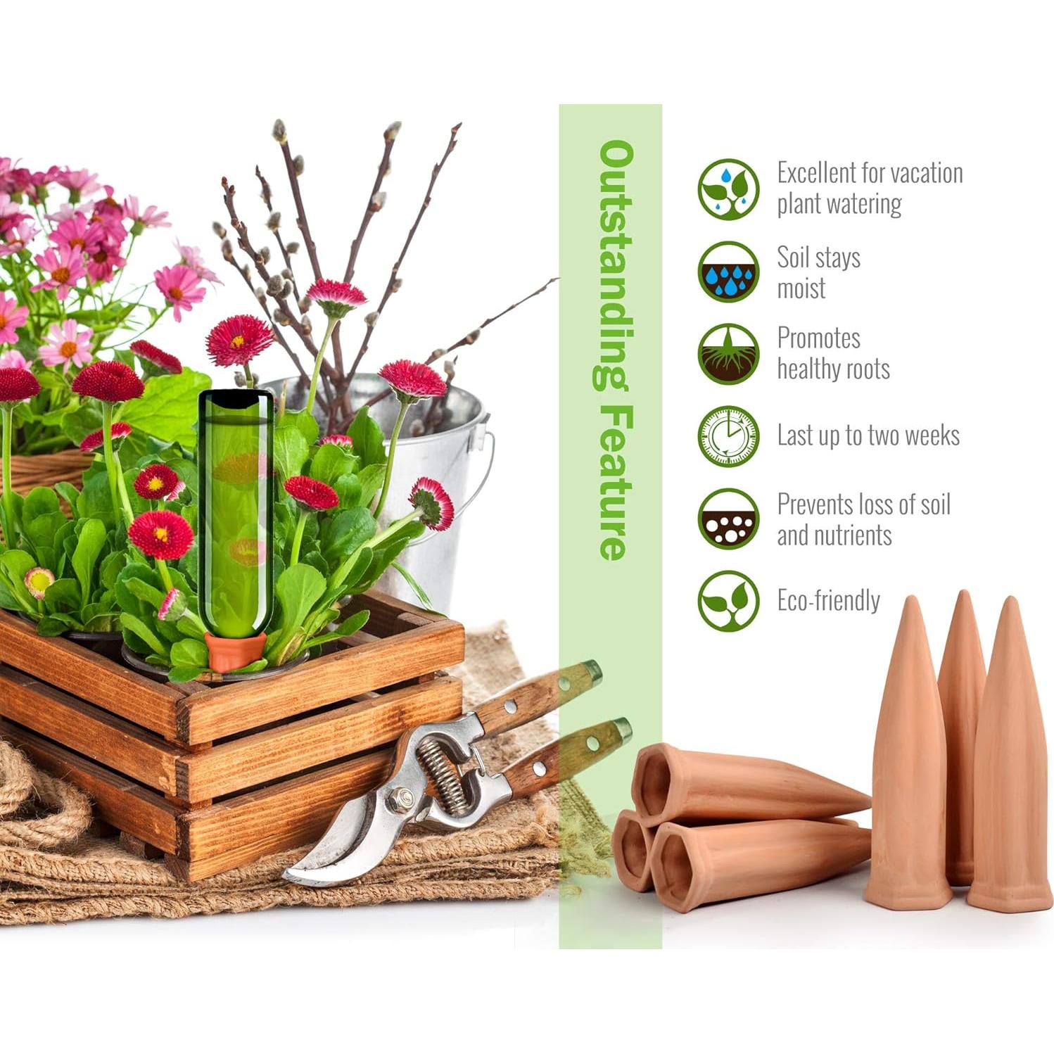 Juego de Regadores de Cerámica Terracota B SEPOR 6 Piezas