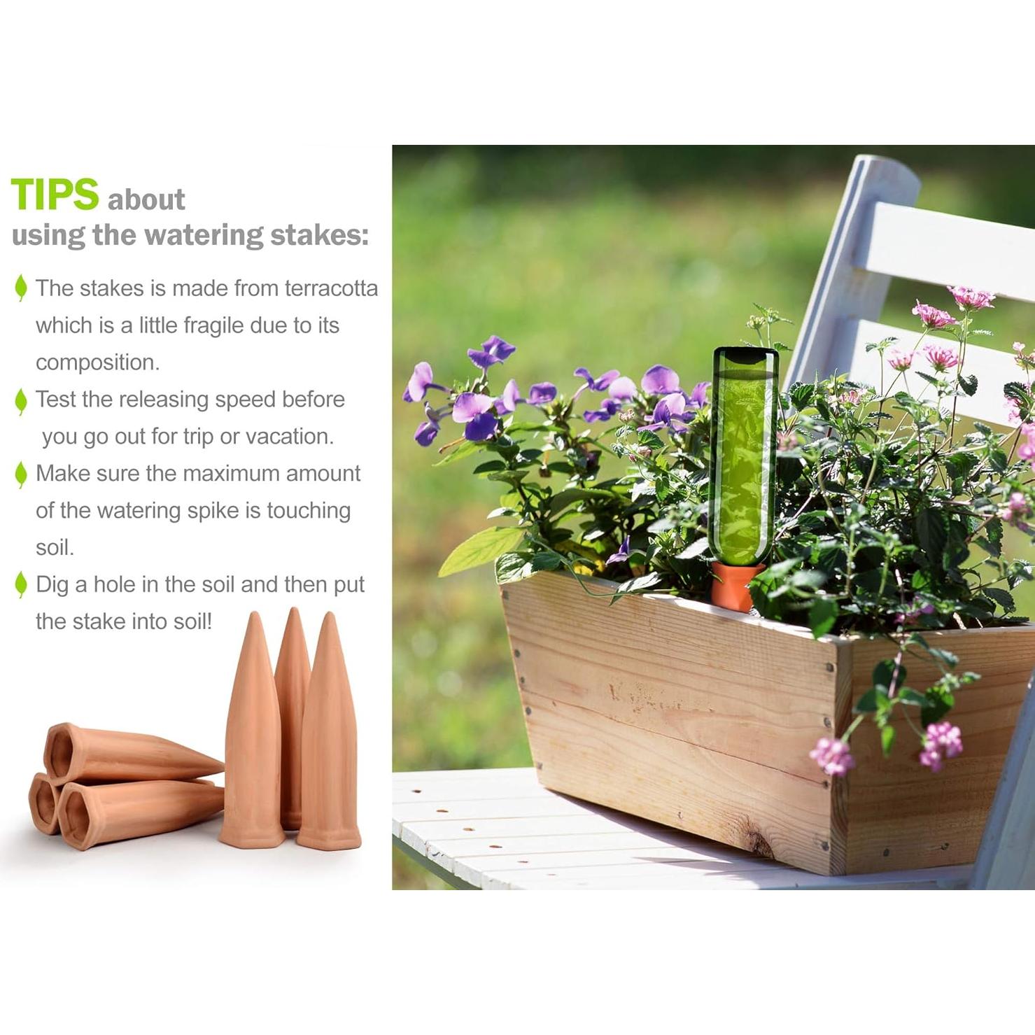 Juego de Regadores de Cerámica Terracota B SEPOR 6 Piezas