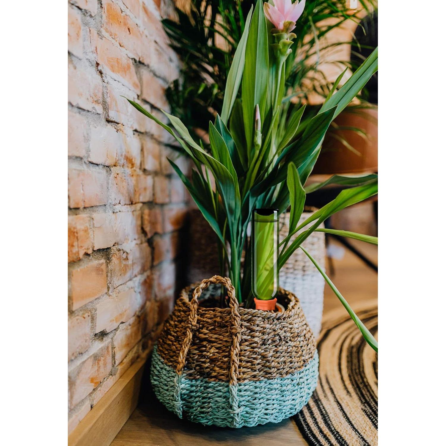 Juego de Regadores de Cerámica Terracota B SEPOR 6 Piezas