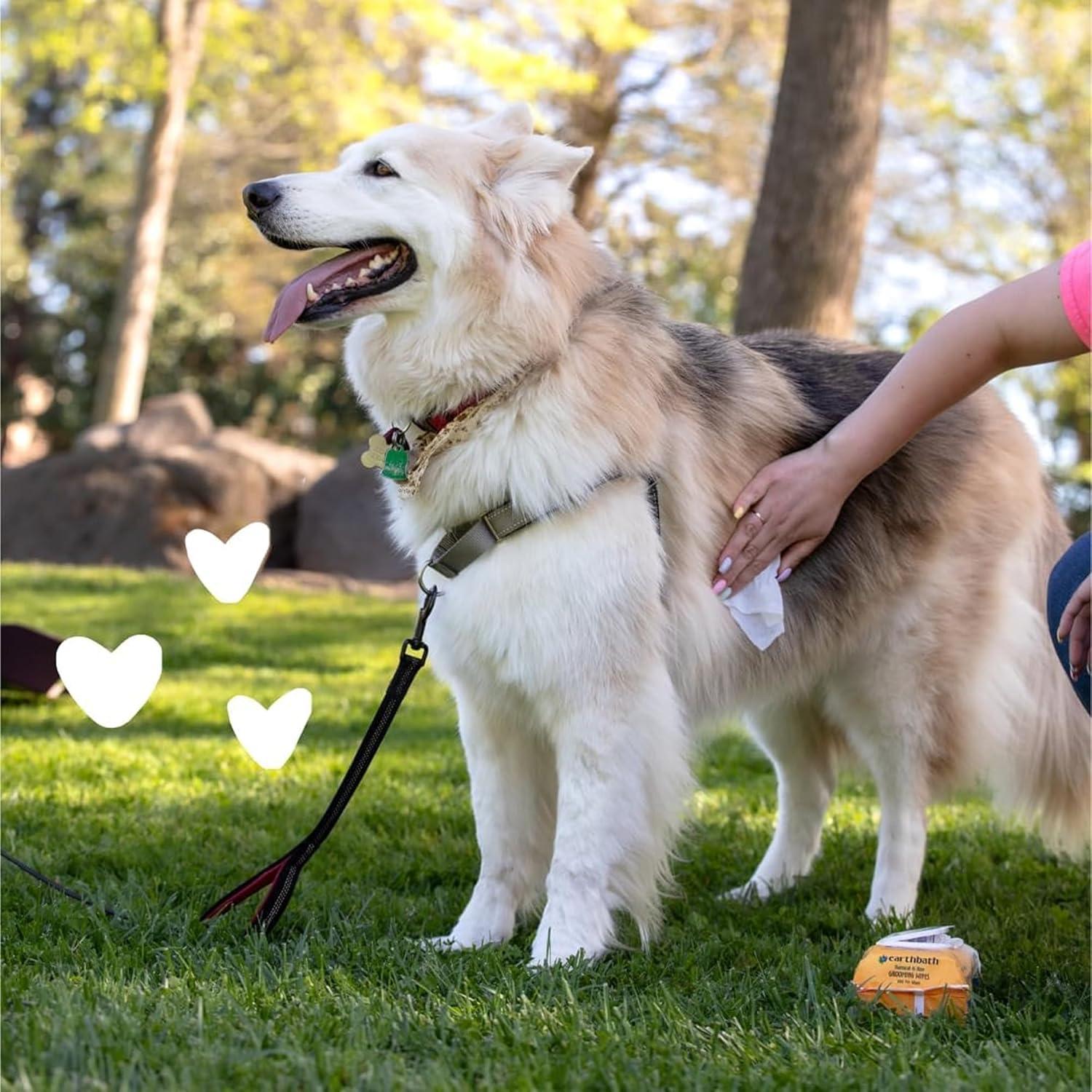Toallitas para Perros earthbath 100 Contenido Vainilla y Almendra