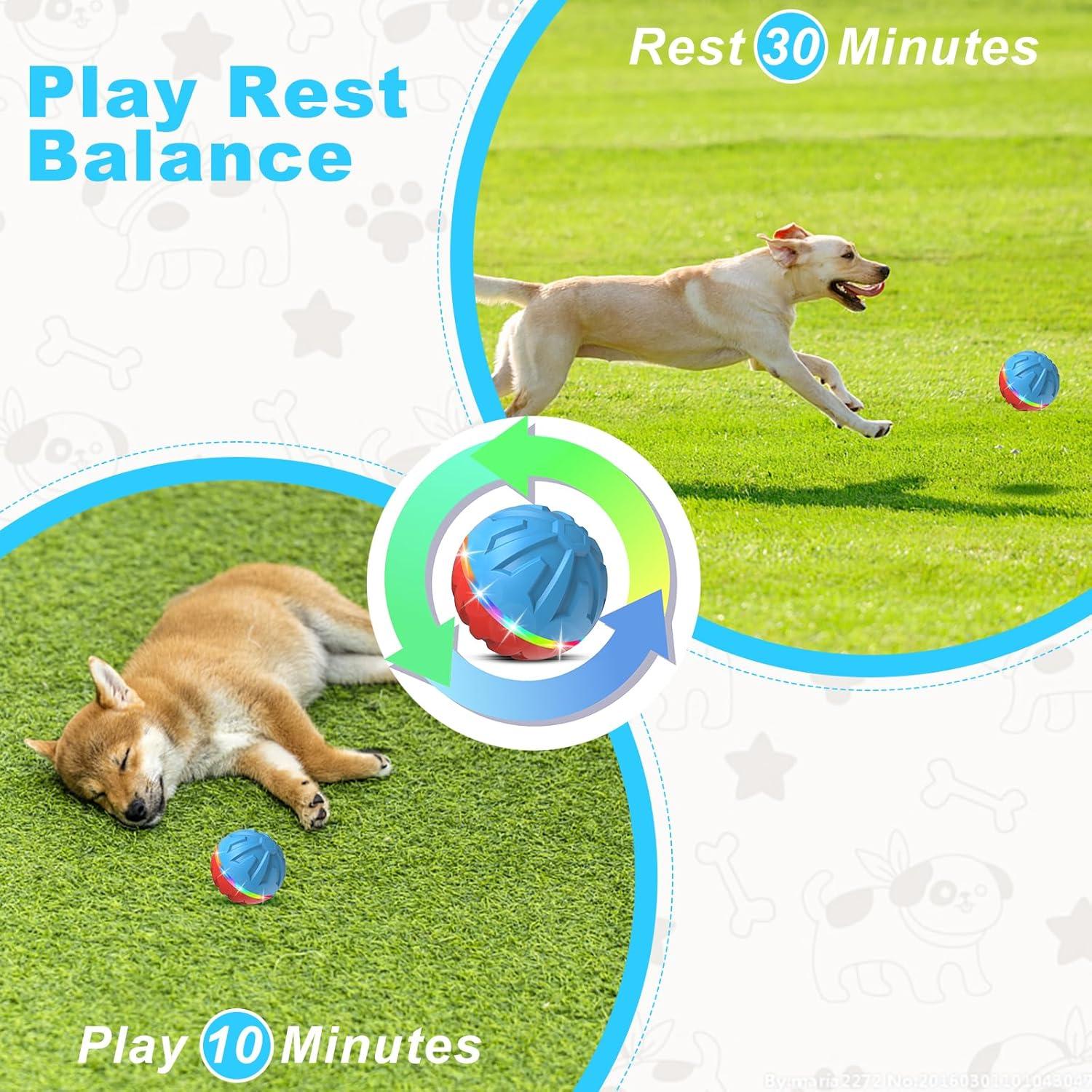 Bola Interactiva para Perros Bolpetizo 8.18cm Control Remoto