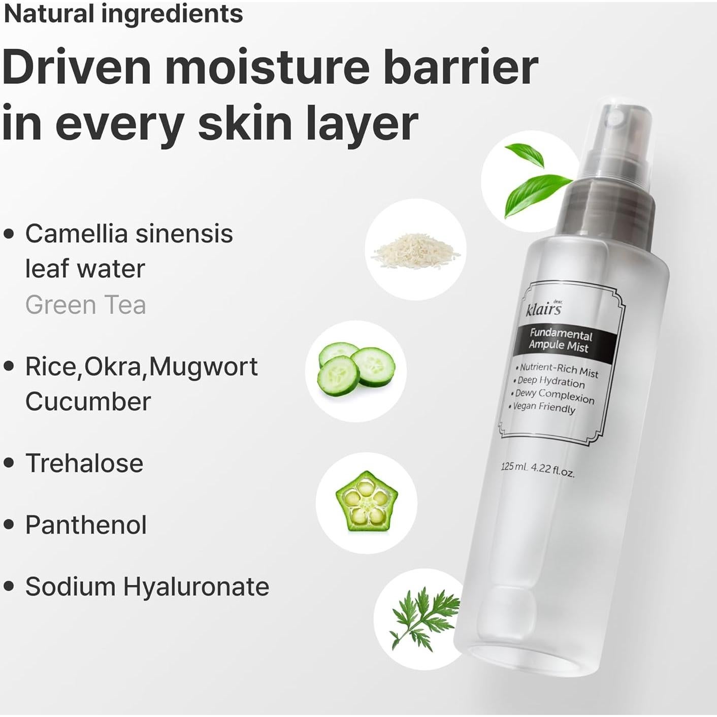 Spray Facial Hidratante Wishcompany 75% Té Verde 123g