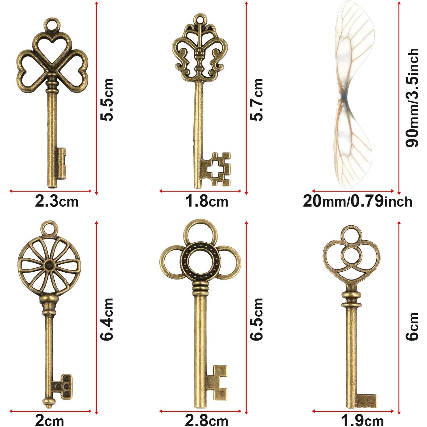 SANNIX 50 Llaves Esqueleto Vintage con Alas de Libélula