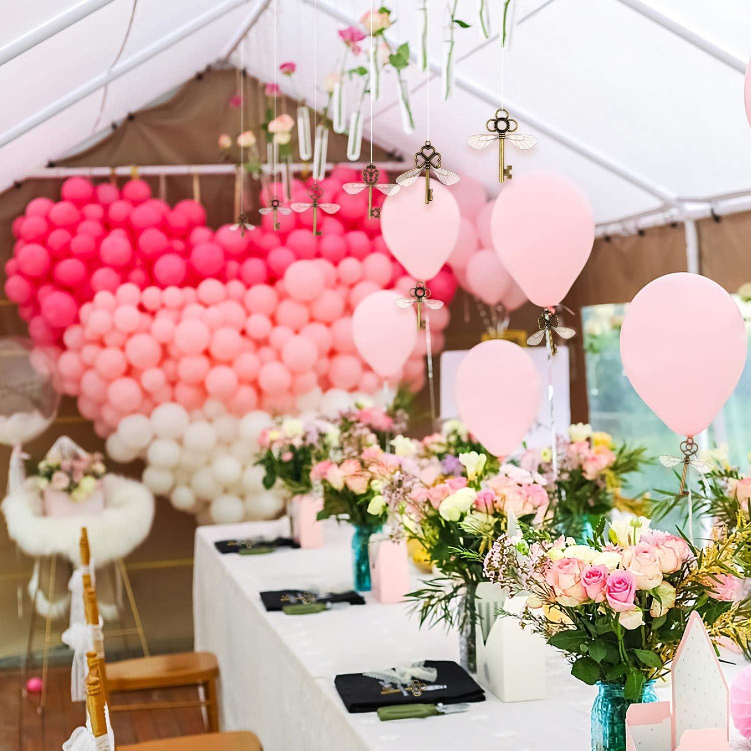 SANNIX 50 Llaves Esqueleto Vintage con Alas de Libélula