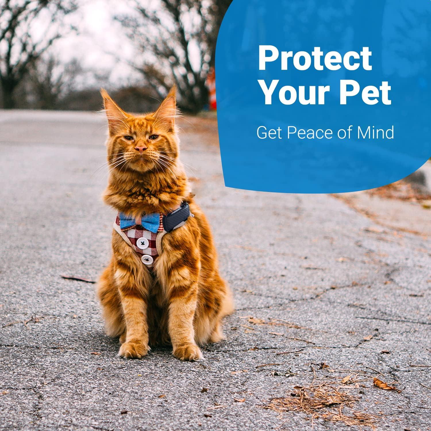 Accesorio de Arnés Tractive GPS Cat 4 para Gatos XL - Negro