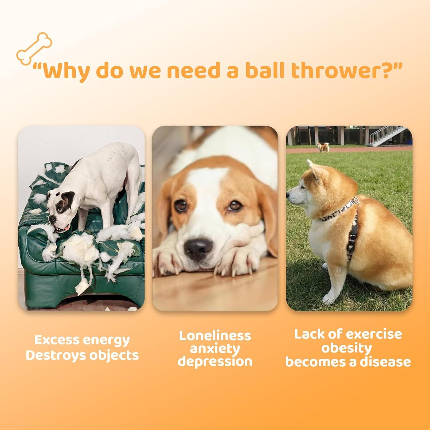 Lanzador automático de pelotas Jovani para perros pequeños