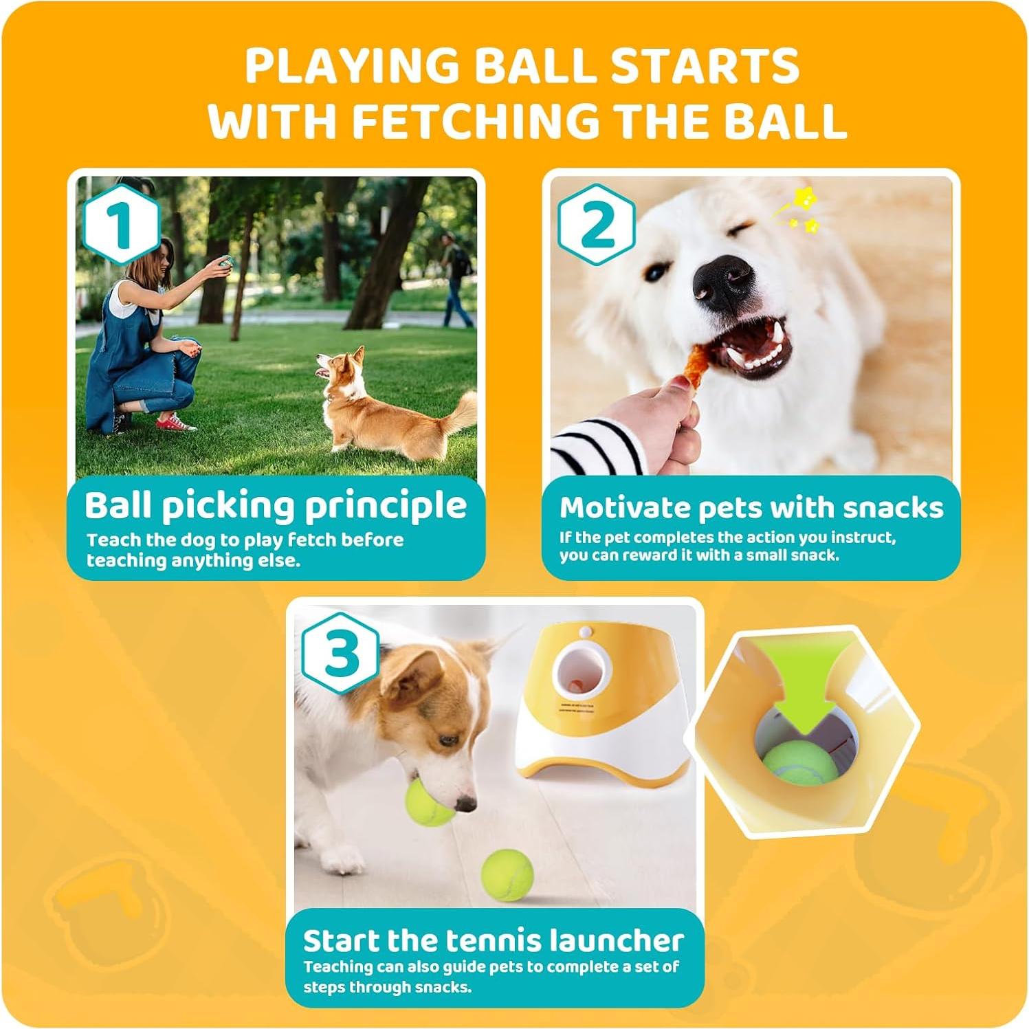 Lanzador automático de pelotas Jovani para perros pequeños