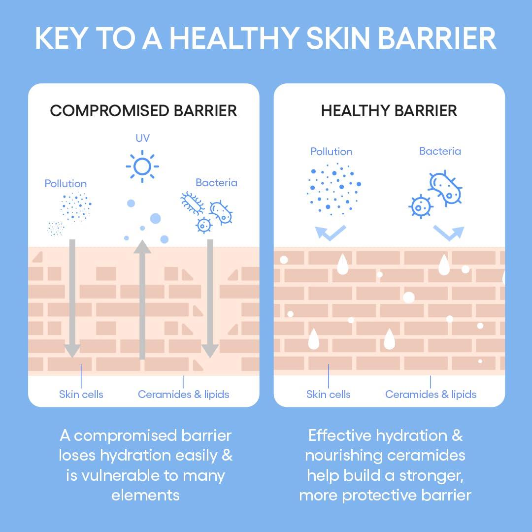 Tónico Humectante Laneige 170 ml Ceramidas y Péptidos