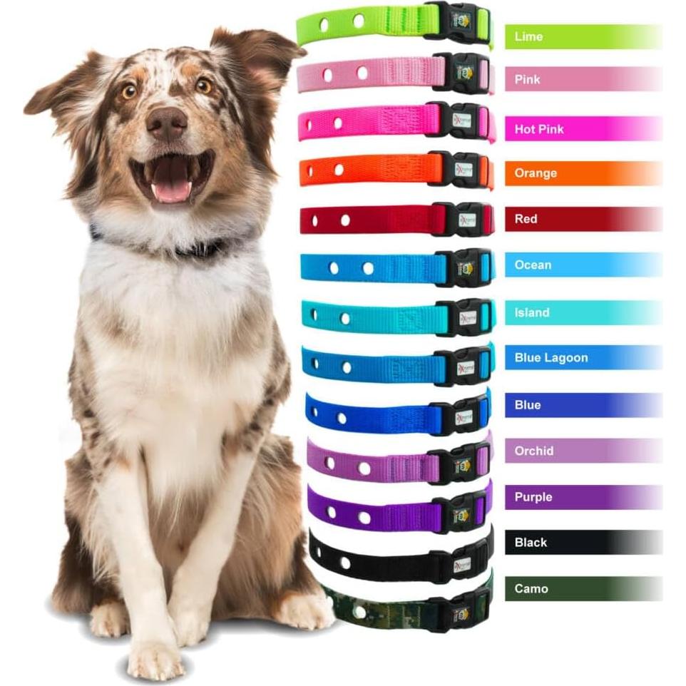 Correa de Reemplazo Nylon Extreme Dog Fence 1.9 cm Negro