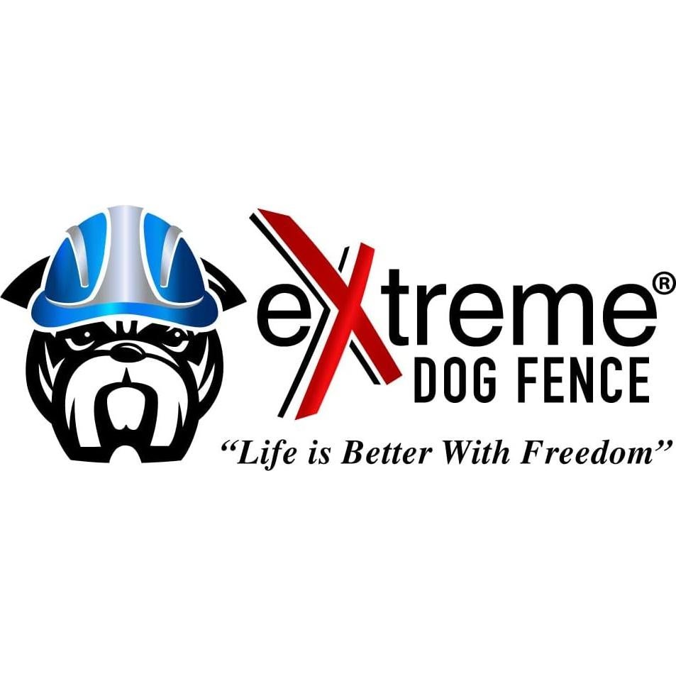 Correa de Reemplazo Nylon Extreme Dog Fence 1.9 cm Negro