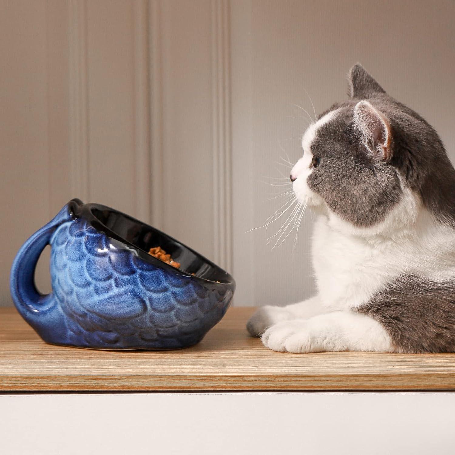 Tazón Elevado para Gatos Nihow de Cerámica 14 cm Negro y Azul