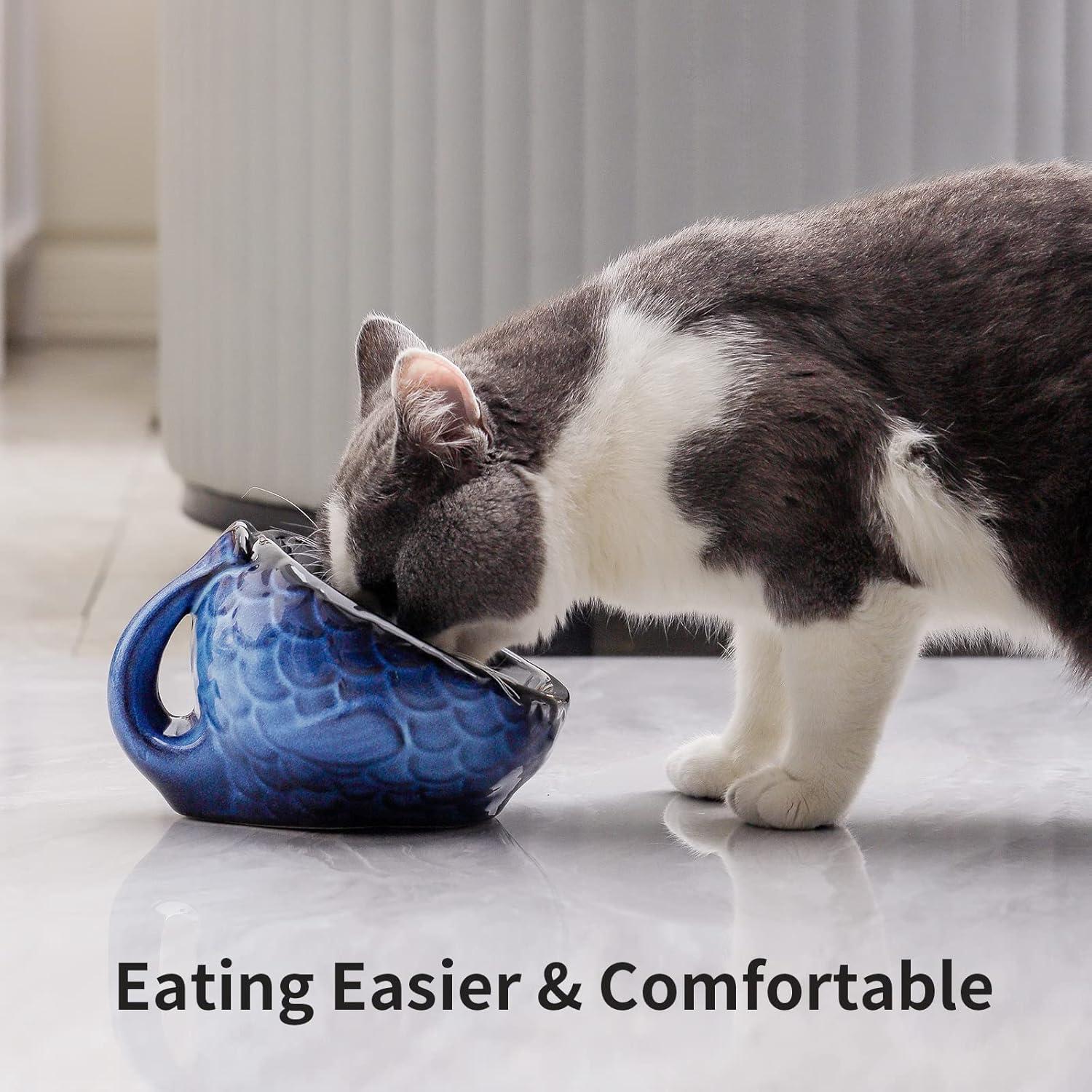 Tazón Elevado para Gatos Nihow de Cerámica 14 cm Negro y Azul