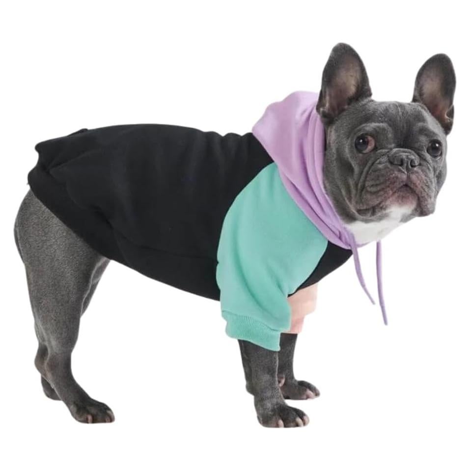 Sudadera para Perros Spark Paws XL - Forro Polar Suave