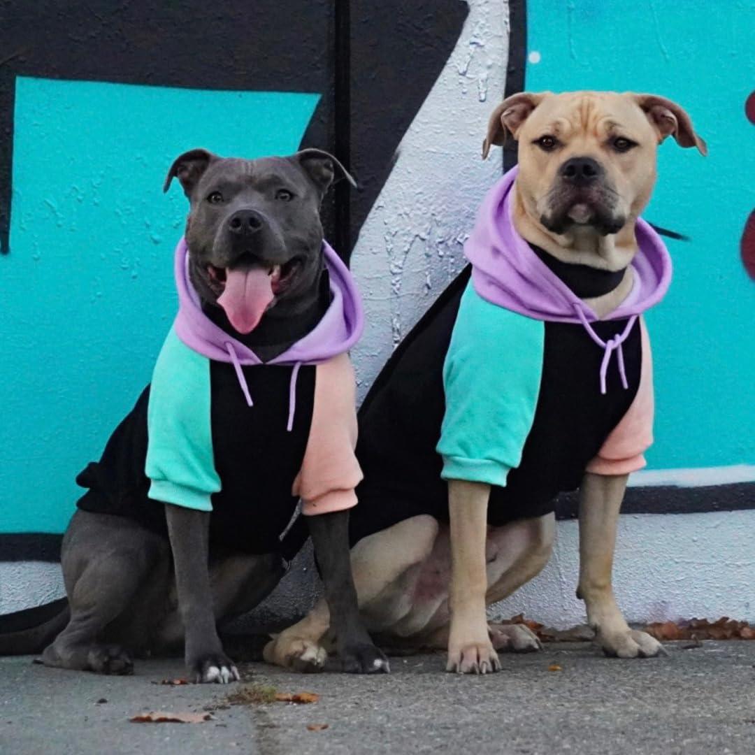 Sudadera para Perros Spark Paws XL - Forro Polar Suave