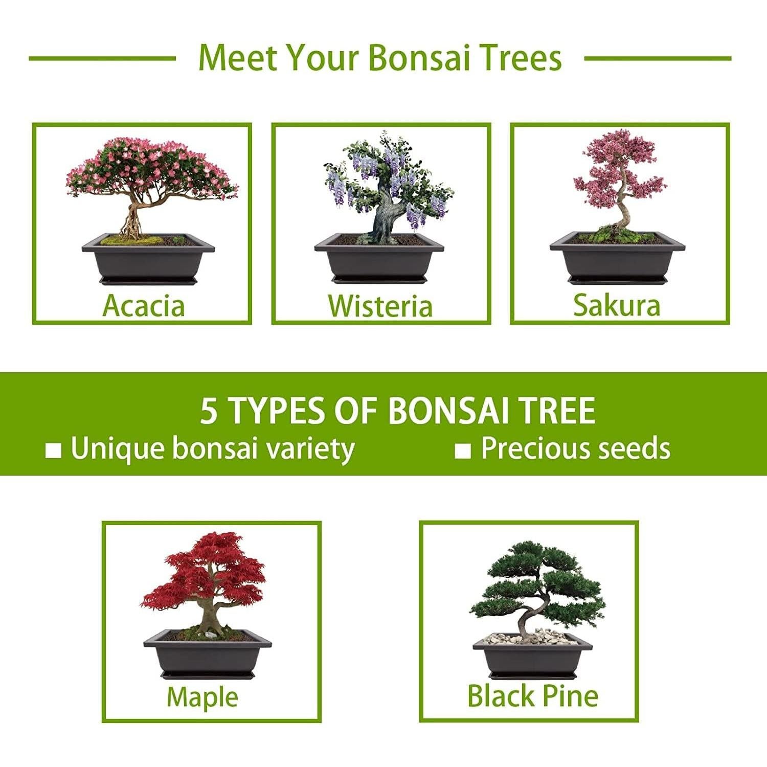 Kit de Jardinería Interior Meekear con Discos de Tierra y Bolsas