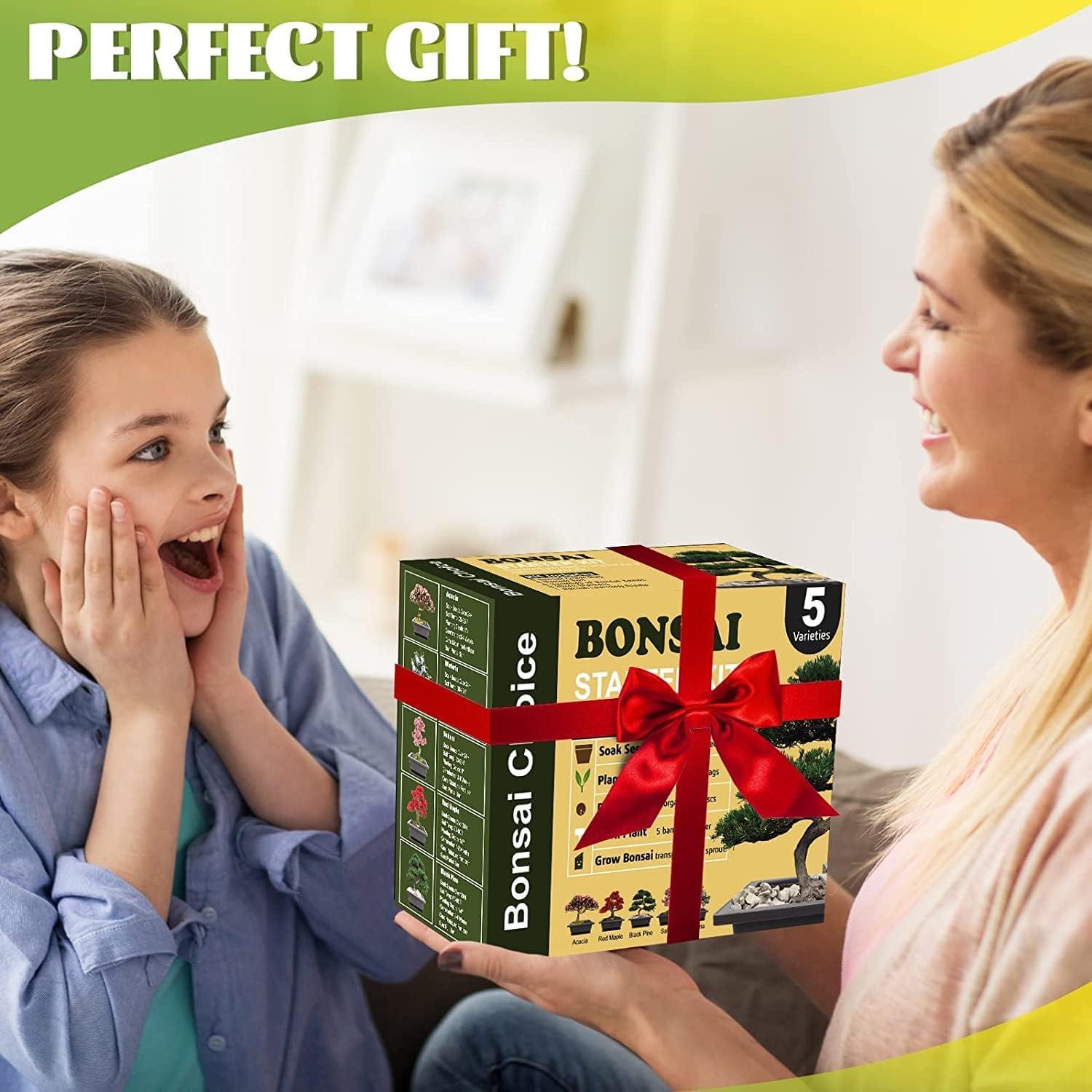 Kit de Jardinería Interior Meekear con Discos de Tierra y Bolsas