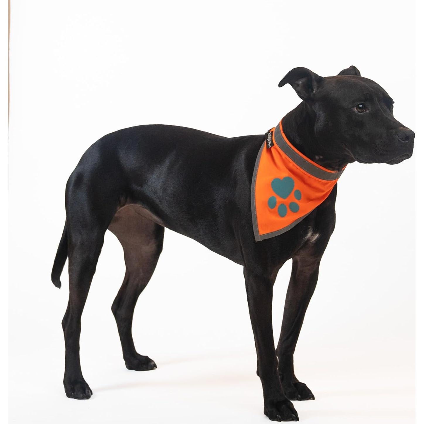 Bandana Reflectante Naranja SafetyPUP XD para Perros Pequeños