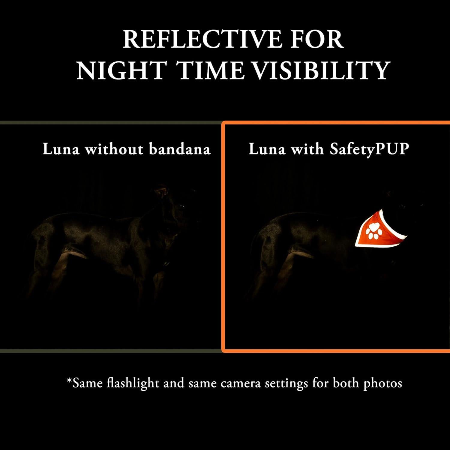 Bandana Reflectante Naranja SafetyPUP XD para Perros Pequeños