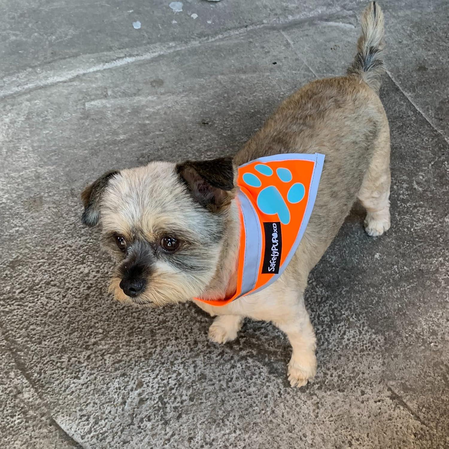 Bandana Reflectante Naranja SafetyPUP XD para Perros Pequeños