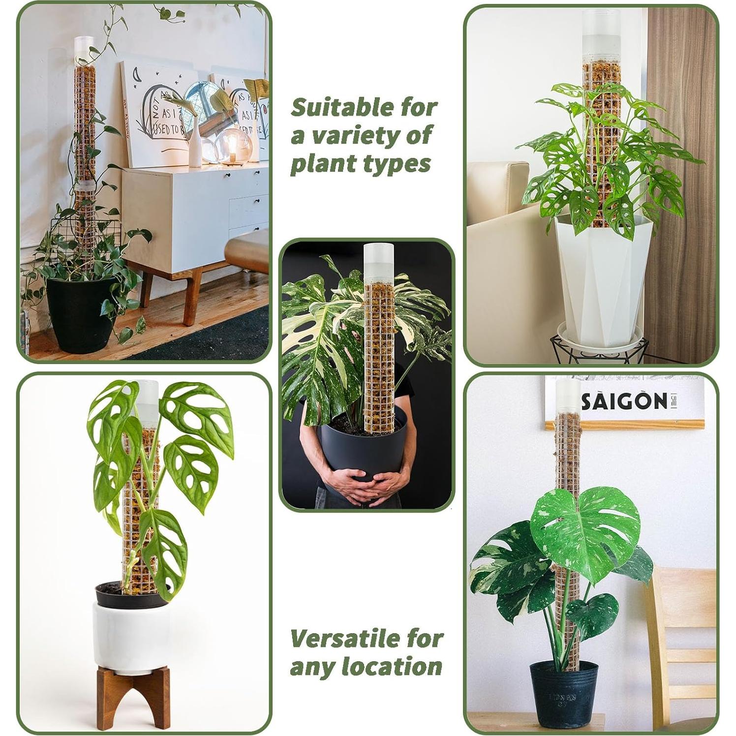 Poste de Musgo JEGU Autorriego 44.2 cm Apilable 4 Piezas