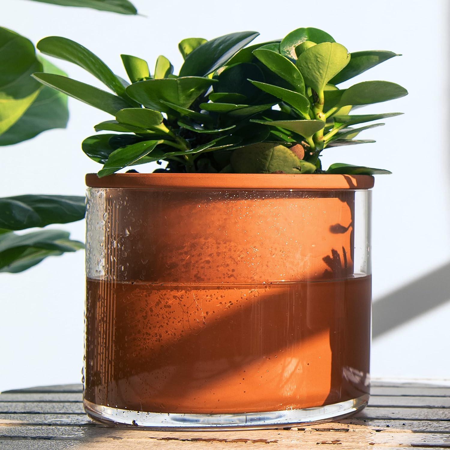 Maceta Autorriego Phoenix Vine 17.78 cm Terracota Cilíndrica