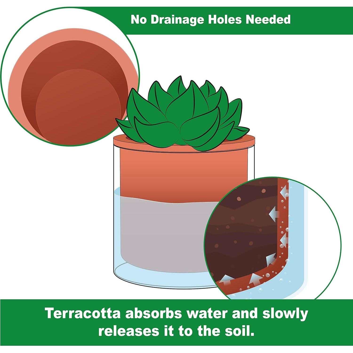 Maceta Autorriego Phoenix Vine 17.78 cm Terracota Cilíndrica