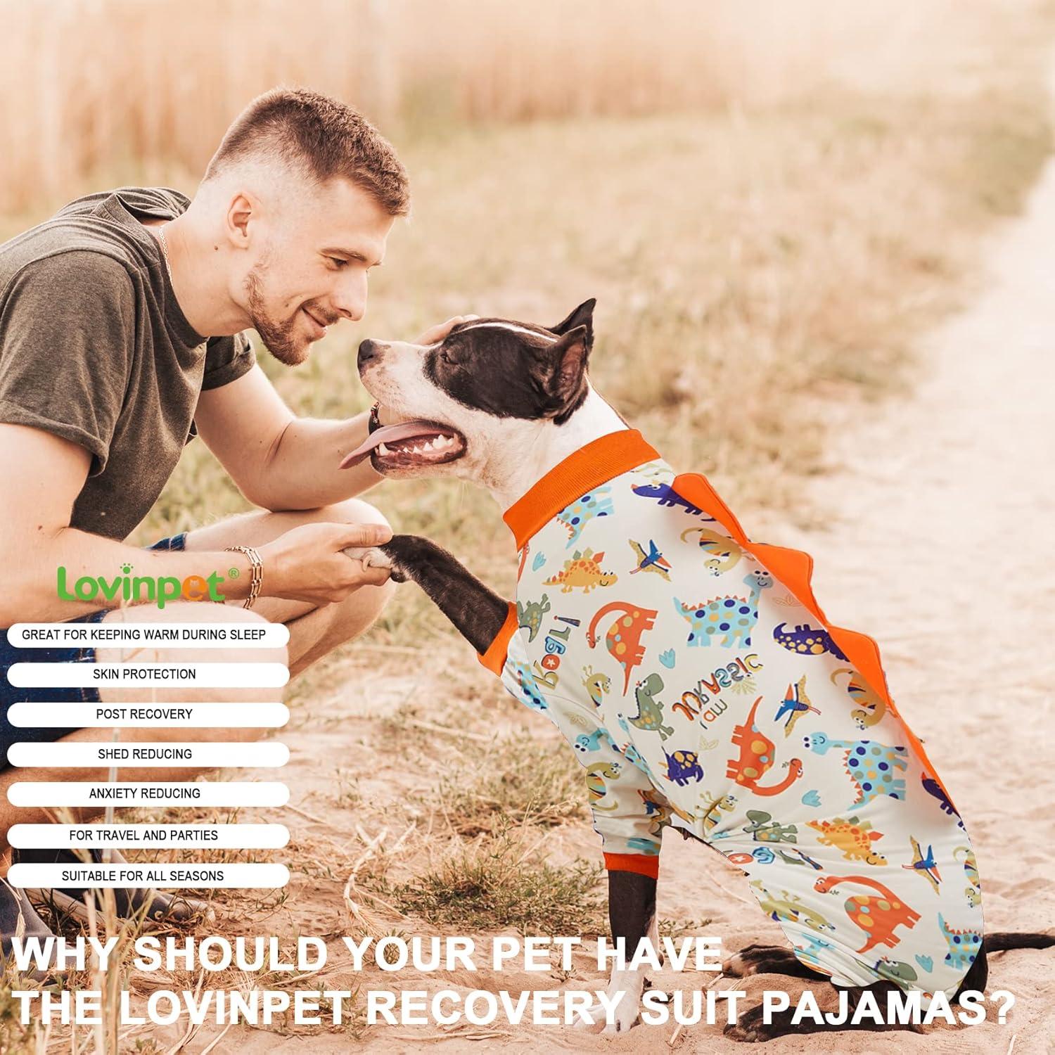 Pijama para Perros LovinPet Grande Anti Lamer Dinosaurios